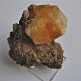 Calcite
the calcite is 7 cm max dimension
(Autor: Bob Harman)
