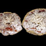 Aragonite and Dolomite (variety ferroan dolomite) on Quartz
geode is 11cm in diameter.   The aragonite sprays range from  2cm to 3.5cm
(Autor: Bob Harman)