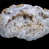 Aragonite on Quartz
oval geode is 12cm x 7cm.    The aragonite sprays range from 1.3cm to 3.5cm
(Autor: Bob Harman)