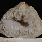 Quartz
geode is about 18 cm with a very thick rind
(Autor: Bob Harman)