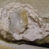 Celestine on Quartz
the geode is about 11 cm x 7 cm and the celestine is 4.5 cm
(Autor: Bob Harman)