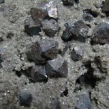 Galena, Chalcopyrite and Dolomite
Galena is up to 1.3 cm
(Autor: Bob Harman)