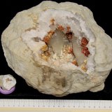 Dolomite, Calcite, Barite on Quartz
see ruler for scale; the larger example is 23 cm with a 13 cm cavity
(Autor: Bob Harman)