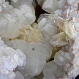 Calcite and Barite on Quartz
calcites up to 4.0 cm, barite up to 2.5 cm
(Autor: Bob Harman)
