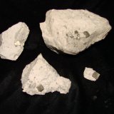 Pyrite in limestone
pyrite cubes up to 1.0 cm
(Autor: Bob Harman)