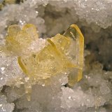 Barite on Quartz
The barite grouping is 4.2cm the largest double terminated crystal is 2.5cm. The quartz geode is 10 cm.
(Autor: Bob Harman)