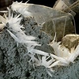 Celestine
blades up to 4 cm in length, groupings up to 7 cm and the whole example about 18 cm across
(Autor: Bob Harman)
