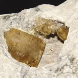 fluorite
largest fluorite is 4.5 cm x 3.0 cm
(Autor: Bob Harman)