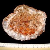 Celestine and Calcite
The largest Celestine crystals are 0.9 cm
(Autor: Bob Harman)