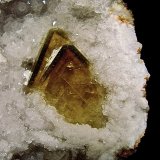 Barite on Quartz
barites are 3.8 cm
(Autor: Bob Harman)
