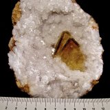 Barite on Quartz
specimen is 11 cm, barites are 3.8 cm
(Autor: Bob Harman)