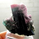 Elbaite
5 x 4,5 x 3 cm
(Autor: Anísio Cláudio)