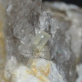 Beryl
Crystal Size: aprox. 3 x 2 x 3 mm
(Autor: Vitomorim)