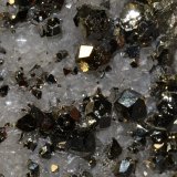 Quartz, Calcite, Pyrite
aprox. FOV 2,5 x 2,5 cm
(Autor: Vitomorim)
