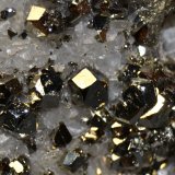 Quartz, Calcite, Pyrite
aprox. FOV 2 x 2 cm
(Autor: Vitomorim)