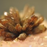 Eosphorite on Rose Quartz with Zanazziite
1.6 cm
(Autor: Gail)
