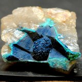 Shattuctite on Quartz
4.3cm x 4cm x 2.69cm
(Autor: steven calamuci)