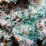 Mimetite/Mottramite
68mm x 95mm x 57mm
(Autor: Heimo Hellwig)