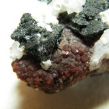 Hausmannite, Andradite and Calcite
44mm x 37mm x 25mm
(Autor: Heimo Hellwig)