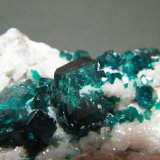 Dioptase on Calcite
60mm x 29mm x 25mm
(Autor: Heimo Hellwig)