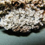Calcite and Copper
57mm x 40mm x 23mm
(Autor: Heimo Hellwig)