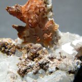 Cerussite
62mm x 36mm x 50mm
(Autor: Heimo Hellwig)
