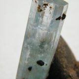 Beryl (variety aquamarine) and Siderite
38mm x 47mm x 27mm
(Autor: Heimo Hellwig)