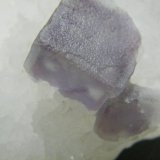 Fluorite on Quartz
81mm x 48mm x 23mm
(Autor: Heimo Hellwig)