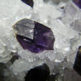 Quartz (variety amethyst) and Calcite
148mm x 117mm x 80mm
(Autor: Heimo Hellwig)