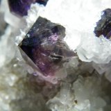 Quartz (variety amethyst) and Calcite
148mm x 117mm x 80mm
(Autor: Heimo Hellwig)