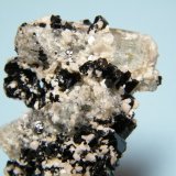 Beryl (variety goshenite) and Schorl
33mm x 60mm x 28mm
(Autor: Heimo Hellwig)