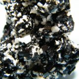 Beryl (variety goshenite) and Schorl
33mm x 60mm x 28mm
(Autor: Heimo Hellwig)
