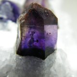 Quartz (variety amethyst) and Calcite
127mm x 116mm x 104mm
(Autor: Heimo Hellwig)