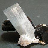 Beryl (variety Aquamarine) and Schorl
44mm x 32mm x 20mm
(Autor: Heimo Hellwig)