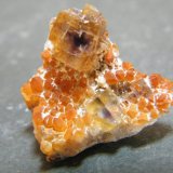 Quartz and Fluorite
21mm x 20mm x 12mm
(Autor: Heimo Hellwig)