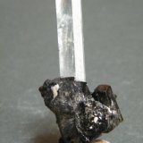 Beryl (variety Aquamarine)
22mm x 45mm x 18mm
(Autor: Heimo Hellwig)