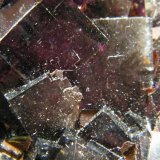 Fluorite
238mm x 159mm x 162mm
(Autor: Heimo Hellwig)