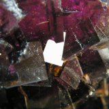 Fluorite
238mm x 159mm x 162mm
(Autor: Heimo Hellwig)