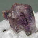 Quartz (variety amethyst)
50mm x 38mm x 41mm
(Autor: Heimo Hellwig)