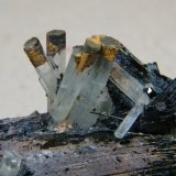 Beryl (variety aquamarine) and Schorl
81mm x 58mm x 60mm
(Autor: Heimo Hellwig)