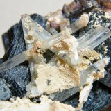 Beryl (variety aquamarine) and Schorl
81mm x 58mm x 60mm
(Autor: Heimo Hellwig)