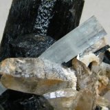 Beryl (variety aquamarine), Schorl and Quartz
55mm x 68mm x 57mm
(Autor: Heimo Hellwig)