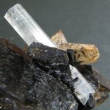 Beryl (variety aquamarine), Schorl and Quartz
55mm x 68mm x 57mm
(Autor: Heimo Hellwig)