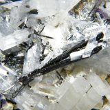 Beryl (variety goshenite) and Schorl
93mm x 46mm x 52mm
(Autor: Heimo Hellwig)