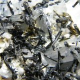 Beryl (variety goshenite) and Schorl
93mm x 46mm x 52mm
(Autor: Heimo Hellwig)