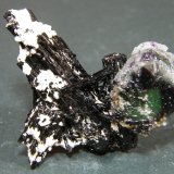 Fluorite and Schorl
51mm x 52mm x 28mm
(Autor: Heimo Hellwig)