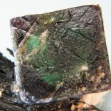 Fluorite/Schorl
73mm x 37mm x 24mm
(Autor: Heimo Hellwig)