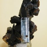 Beryl (variety Aquamarine)
34mm x 57mm
(Autor: Heimo Hellwig)