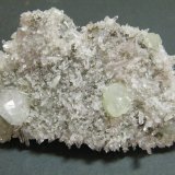 Quartz/Calcite/Prehnite
87mm x 52mm x 25mm
(Autor: Heimo Hellwig)