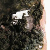 Cacite and Mottramite
58mm x 90mm x 92mm
(Autor: Heimo Hellwig)
